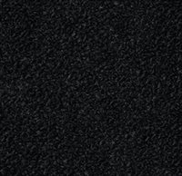 Delia black 041